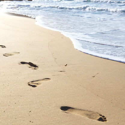 'Replica' Beach Walk