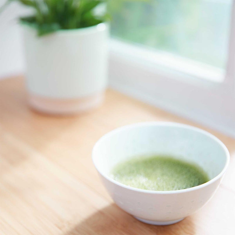 Replica' Matcha Meditation