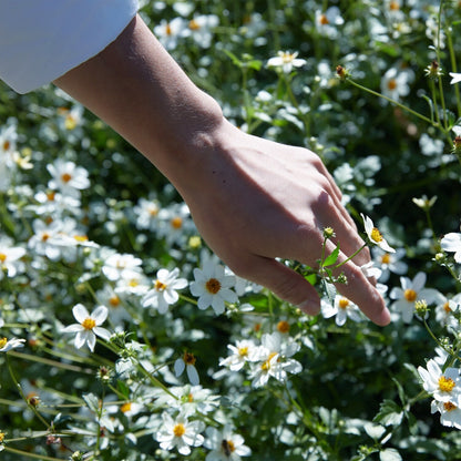 'Replica' Springtime In A Park